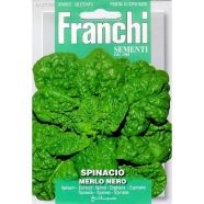 Spinach Merlo Nero Seeds